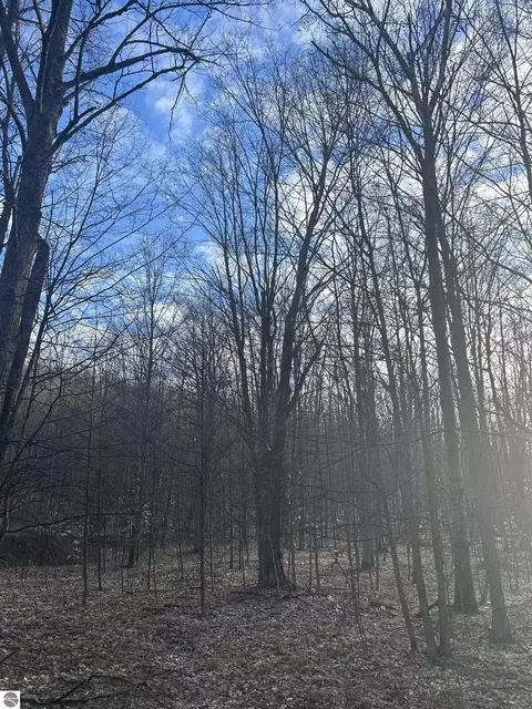 Lot 141 East Village Drive, Bellaire, MI 49615