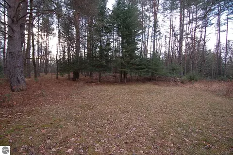 21371 Hibma Rd, Tustin, MI 49688