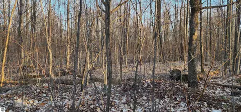 Vl 10 Acres Johnson Road, Lake City, MI 49651