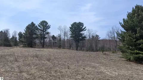 Tbd Us-31, Bear Lake, MI 49614
