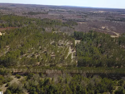 10 Acres Niemi St, Kaleva, MI 49645