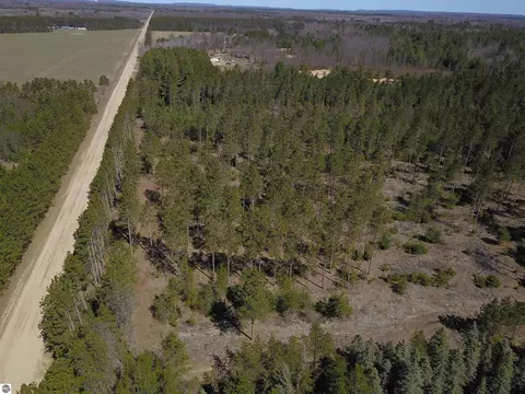 9 69 Acres Niemi St, Kaleva, MI 49645