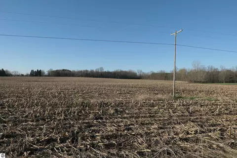 E Blanchard Road, Shepherd, MI 48883 photo 3