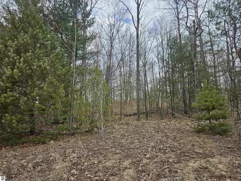 6180 N Greenway Dr, Frederic, MI 49733