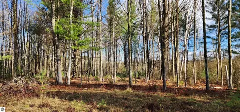 0 Conners Rd, Twining, MI 48766 photo 5