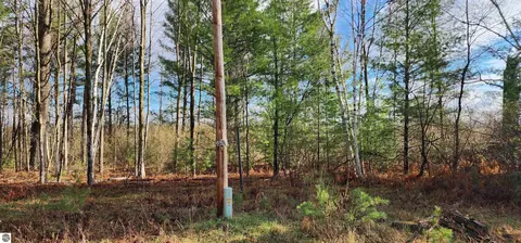0 Conners Rd, Twining, MI 48766 photo 3