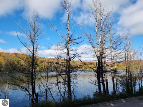 Waterfront Parmater Road, Elmira, MI 49730