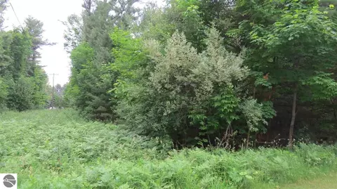 Blasen Shores Lane, Eastport, MI 49627