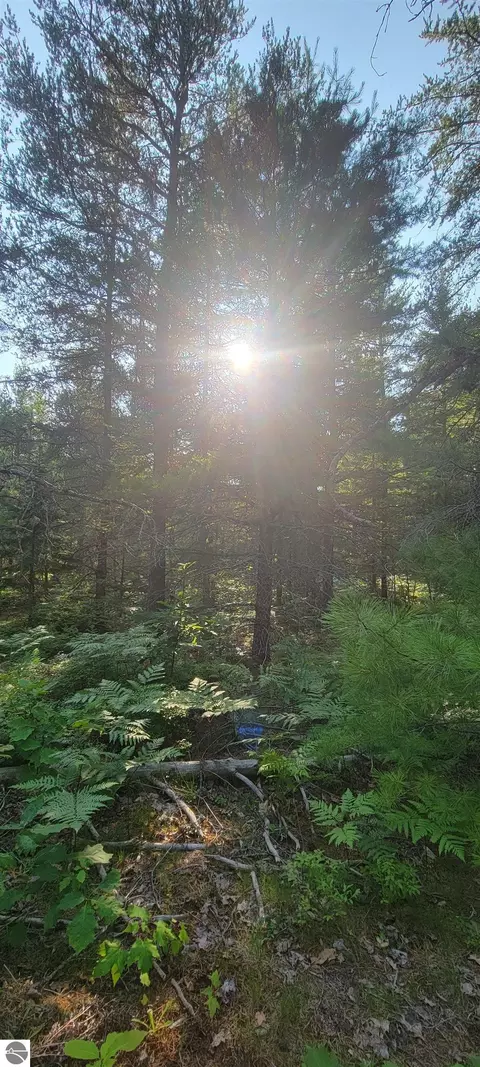 V/l 0 N Wide Waters Road, Paradise, MI 49768