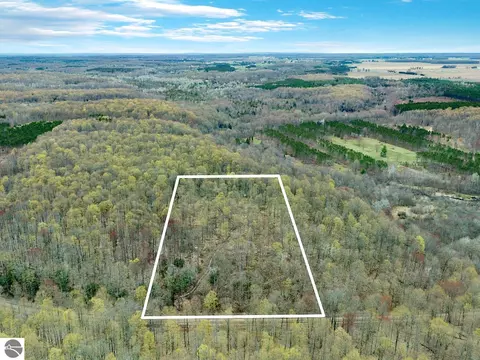 V/l N 8 Road, Mesick, MI 49668