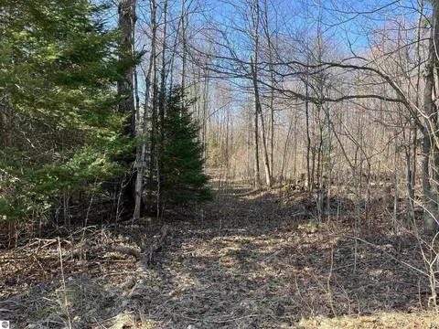 0 Valley Rd, Alanson, MI 49706 photo 14