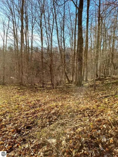 0 Valley Rd, Alanson, MI 49706 photo 6