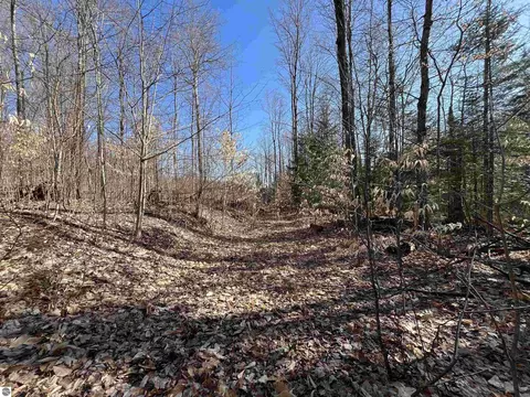 0 Valley Rd, Alanson, MI 49706 photo 12