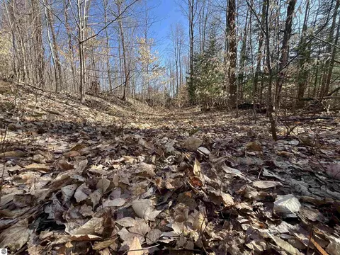 0 Valley Rd, Alanson, MI 49706 photo 13