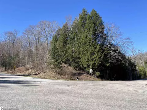 0 Valley Rd, Alanson, MI 49706 photo 2