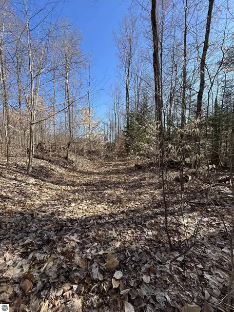 0 Valley Rd, Alanson, MI 49706 photo 11