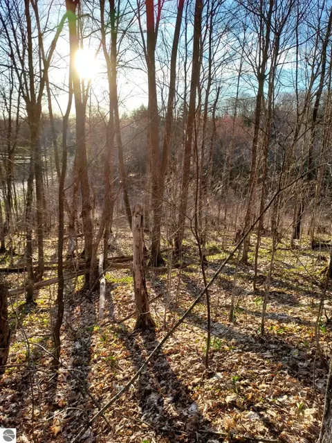 0 Valley Rd, Alanson, MI 49706 photo 8
