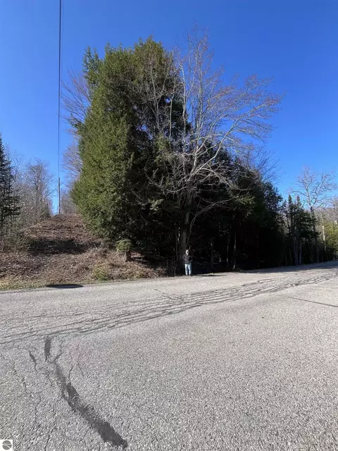 0 Valley Rd, Alanson, MI 49706 photo 17