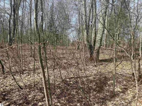 V/l Oestman Drive, Kalkaska, MI 49646