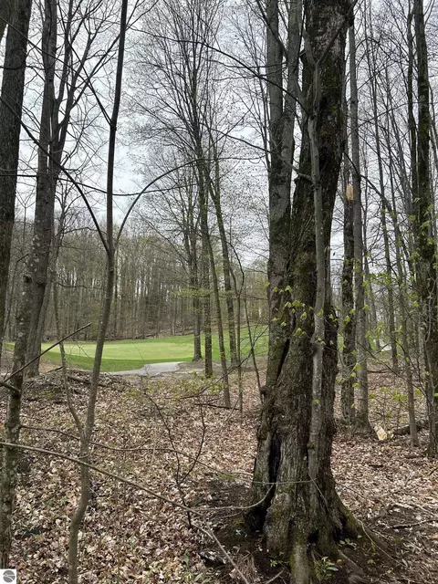 Lot 46 Creekside Drive, Bellaire, MI 49615