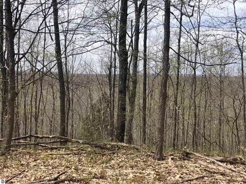 80 Acres Yates Rd, Copemish, MI 49625