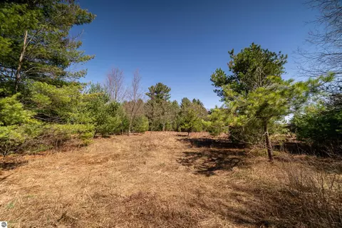 Hulkonen Road, Kaleva, MI 49645