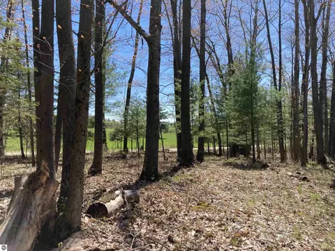 V/l Doll Road, Lupton, MI 48635 photo 5