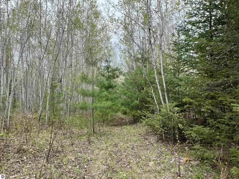 000 Lund Rd, Fife Lake, MI 49633