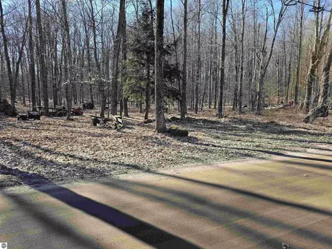 00 Manistee Rd, Mesick, MI 49668 photo 5