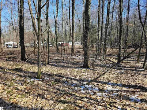 00 Manistee Rd, Mesick, MI 49668 photo 2