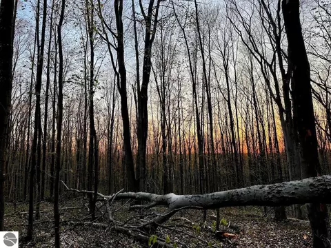 00 Oestman Dr, Kalkaska, MI 49646