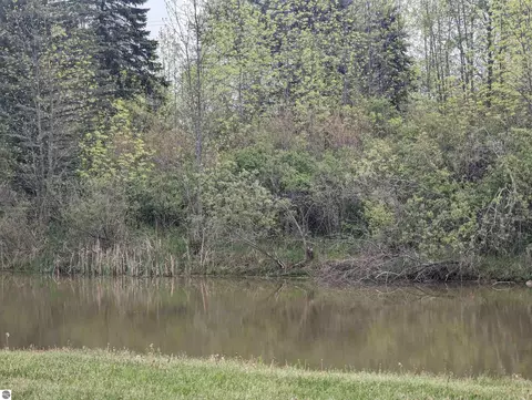 N/a Michigan Avenue, Au Gres, MI 48703 photo 4