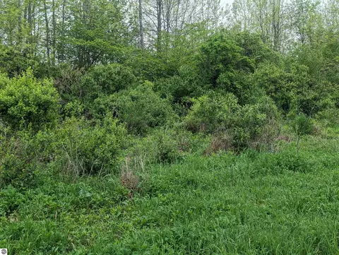 N/a Michigan Avenue, Au Gres, MI 48703 photo 7
