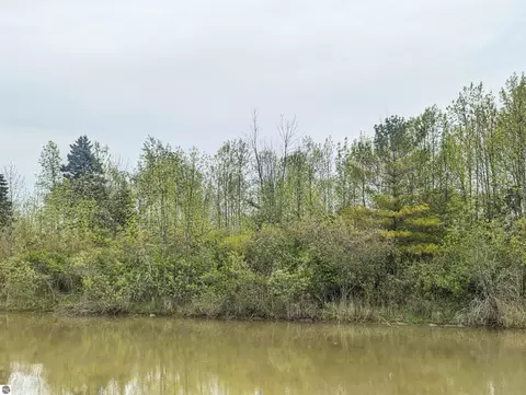 N/a Michigan Avenue, Au Gres, MI 48703 photo 2