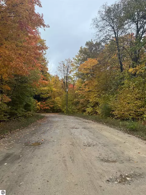 Greenleaf Lane, Grawn, MI 49637 photo 4