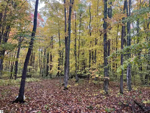 Greenleaf Lane, Grawn, MI 49637
