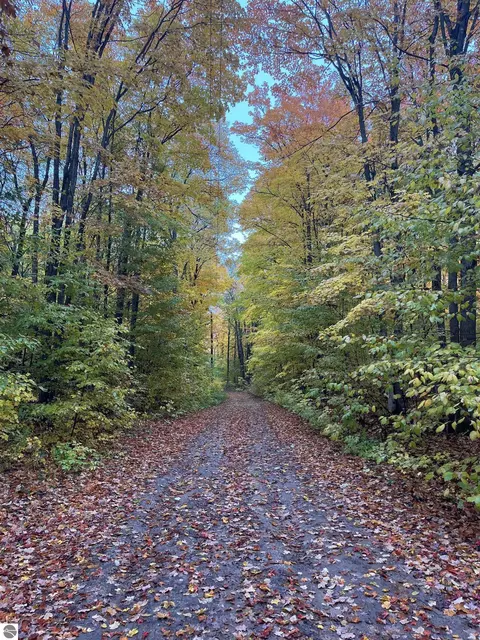 Greenleaf Lane, Grawn, MI 49637 photo 5