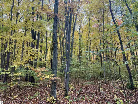 Greenleaf Lane, Grawn, MI 49637 photo 6