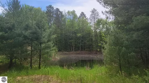Nnn Gladwin Road, Prudenville, MI 48651