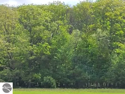 0 W Baroda Dr, West Branch, MI 48661