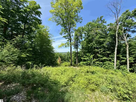 S Blake Lane, Lake Leelanau, MI 49653