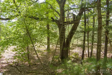 0 E Sugar River Rd, Alger, MI 48610 photo 6