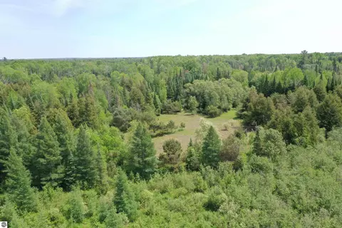 Na Morrison Road, West Branch, MI 48661