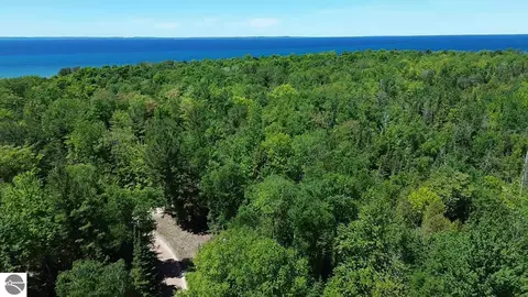 0 Timberlane Dr, Ellsworth, MI 49729