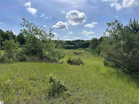 1263 N Marshall Dr, Beulah, MI 49617