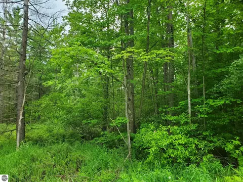 0 Acorn Ln, Prescott, MI 48756