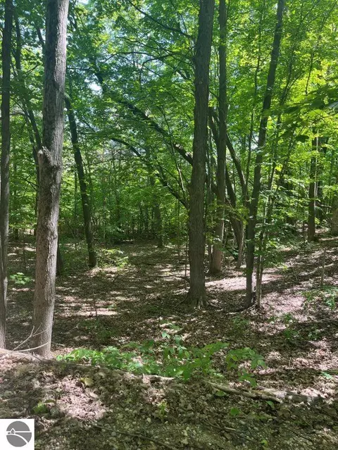 Parcel A N 45 Road, Manton, MI 49663