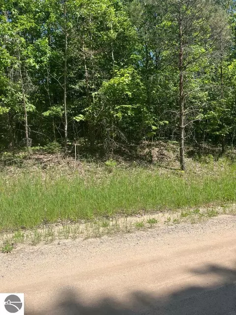 Parcel E N 45 Road, Manton, MI 49663