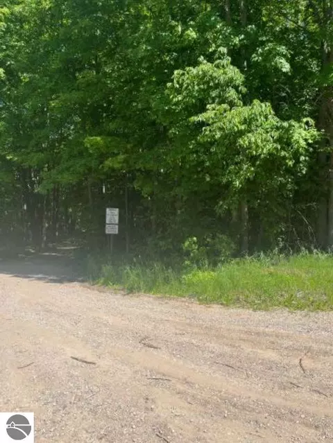 Parcel E N 45 Road, Manton, MI 49663 photo 3