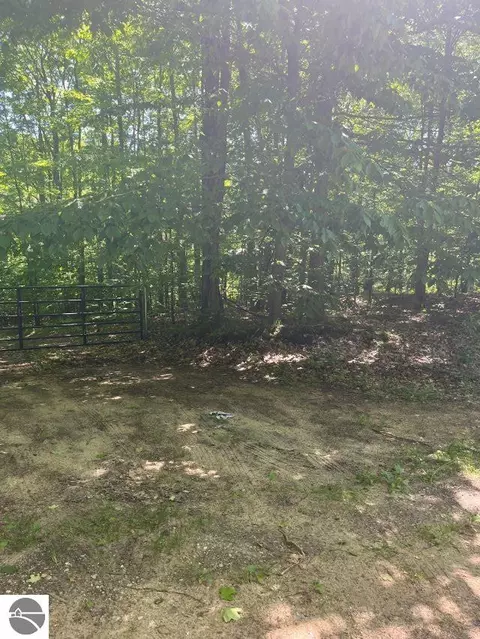 Parcel E N 45 Road, Manton, MI 49663 photo 4